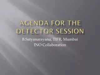 Agenda for the Detector Session