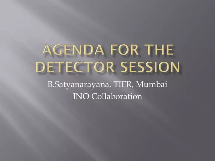 agenda for the detector session