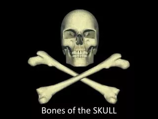 Bones of the SKULL