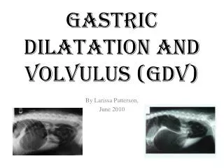 Gastric Dilatation and Volvulus (GDV)