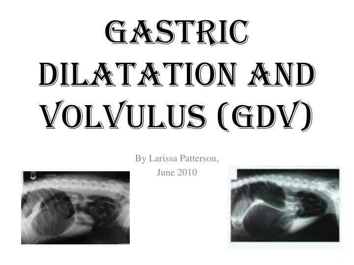 gastric dilatation and volvulus gdv