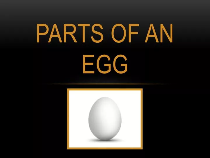 parts of an egg