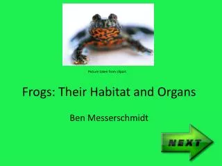 Frogs: Their Habitat and Organs