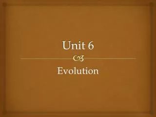 Unit 6