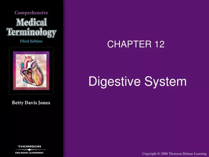 digestive system