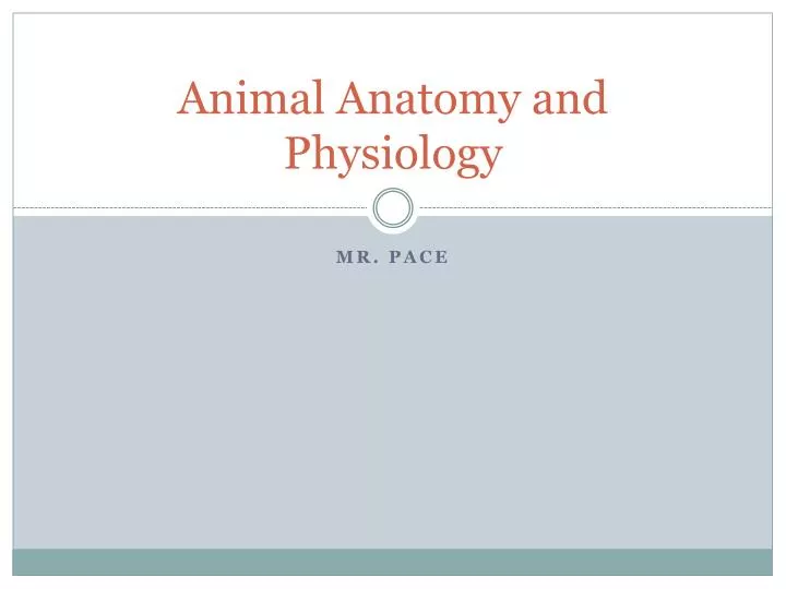 animal anatomy and physiology