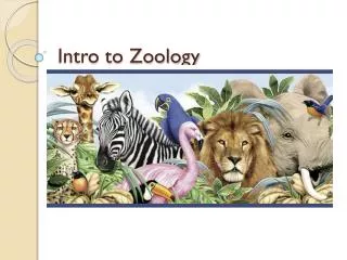 Intro to Zoology