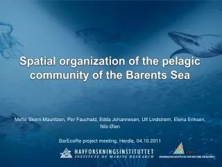 Spatial organization of the pelagic community of the Barents Sea