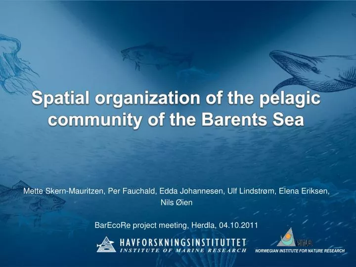 spatial organization of the pelagic community of the barents sea