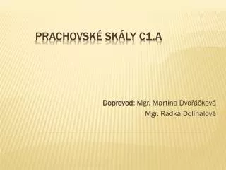 doprovod mgr martina dvo kov mgr radka dol halov
