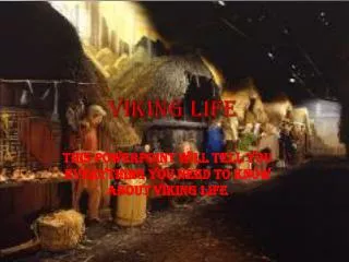 Viking Life