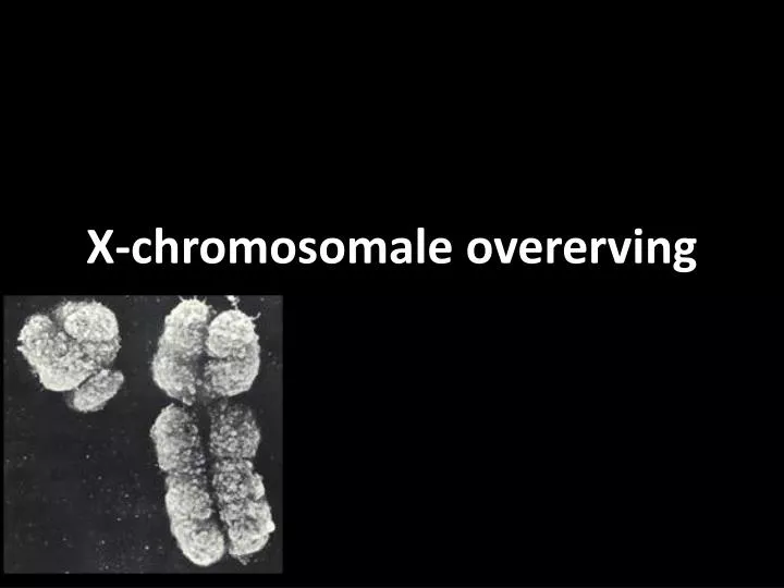 x chromosomale overerving