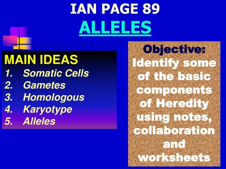 ian page 89 alleles