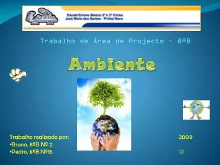 trabalho de rea de projecto 8 b