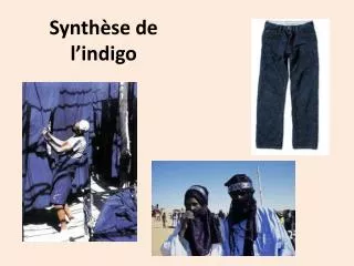 synth se de l indigo