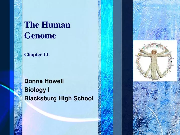 the human genome chapter 14