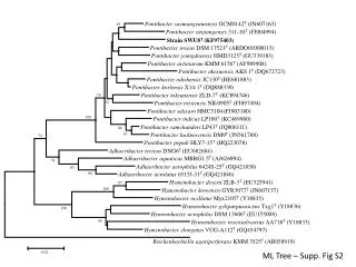 Pontibacter saemangeumensis GCM0142 T (JN607163)