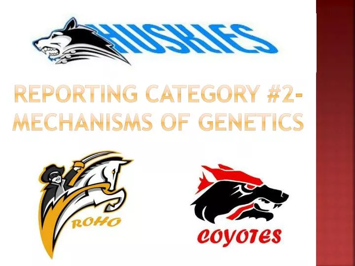 reporting category 2 mechanisms of genetics