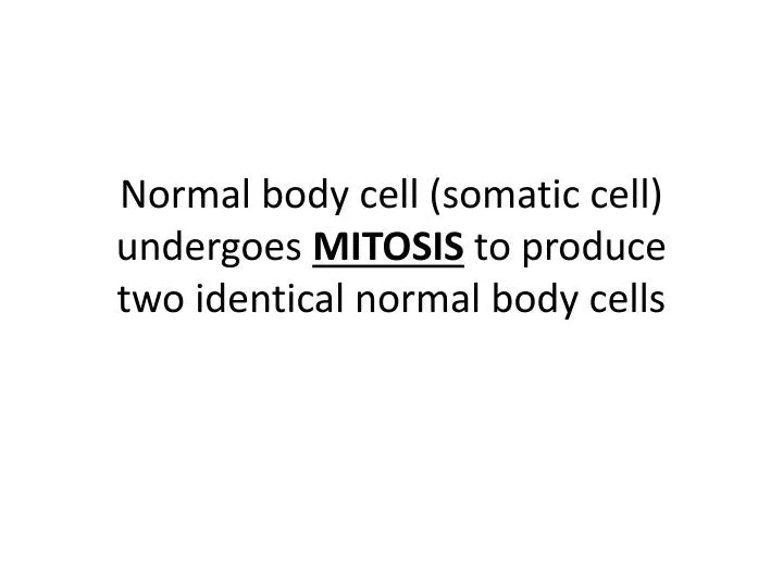normal body cell somatic cell undergoes mitosis to produce two identical normal body cells