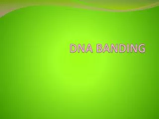 DNA BANDING