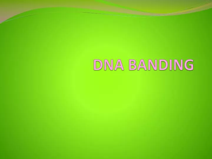 dna banding