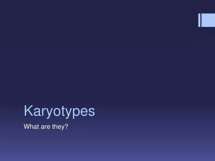 karyotypes