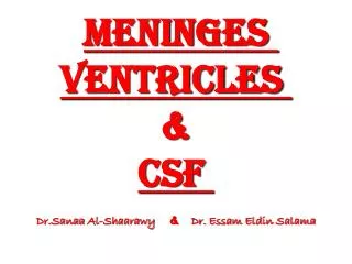 Meninges ventricles &amp; CSF