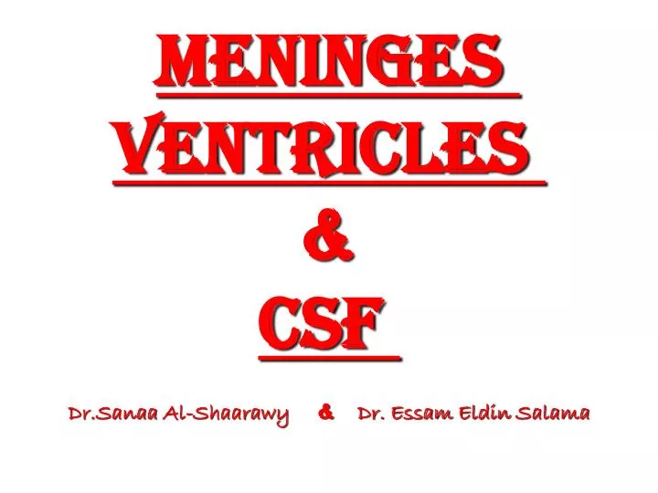 meninges ventricles csf