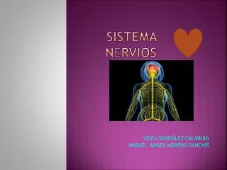sistema n e rvi s