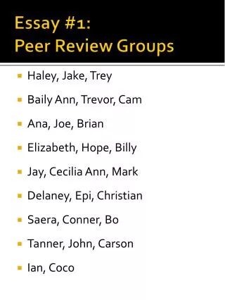 Essay #1: Peer Review Groups
