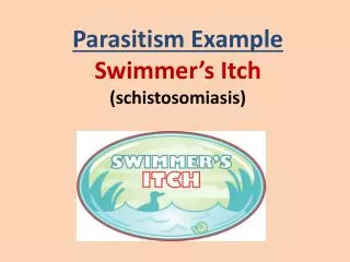 Parasitism Example Swimmer’s Itch ( schistosomiasis )
