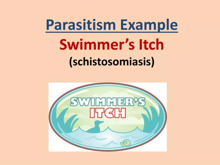 parasitism example swimmer s itch schistosomiasis