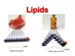 Lipids - slide 1