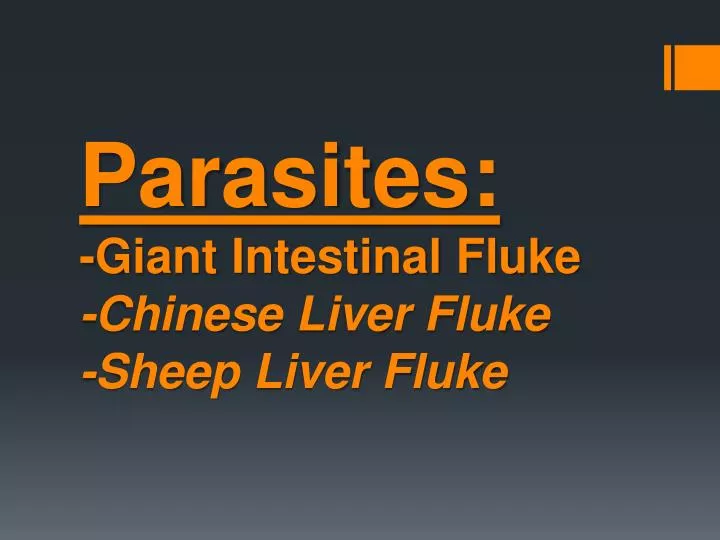 parasites giant intestinal fluke chinese liver fluke sheep liver fluke