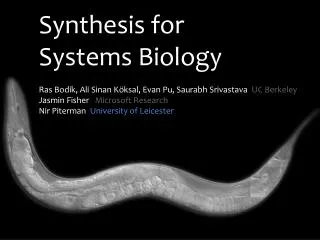 Synthesis for Systems Biology