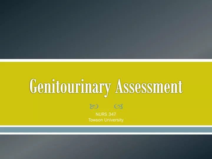 genitourinary assessment