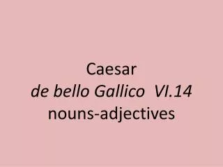Caesar de bello Gallico VI. 14 noun s-adjectives