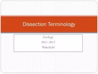 Dissection Terminology