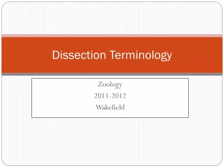 dissection terminology