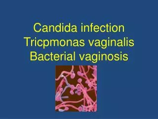 Candida infection T ricpmonas vaginalis Bacterial vaginosis