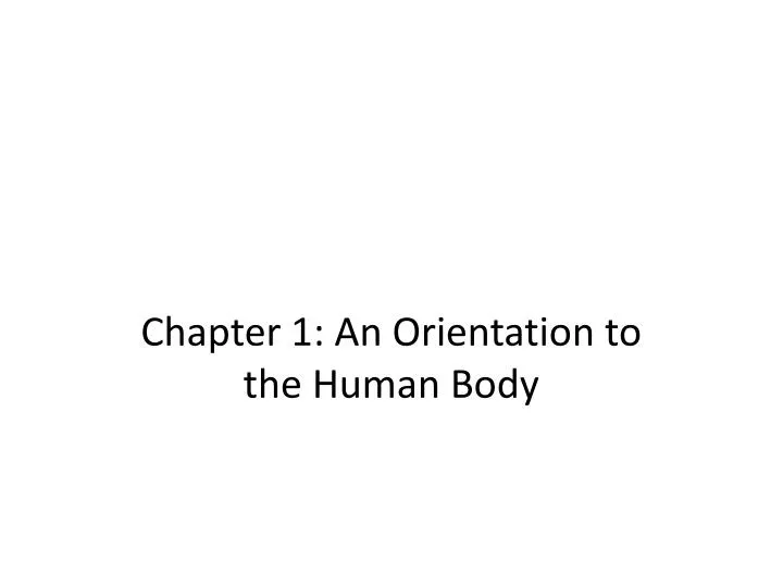 chapter 1 an orientation to the human body