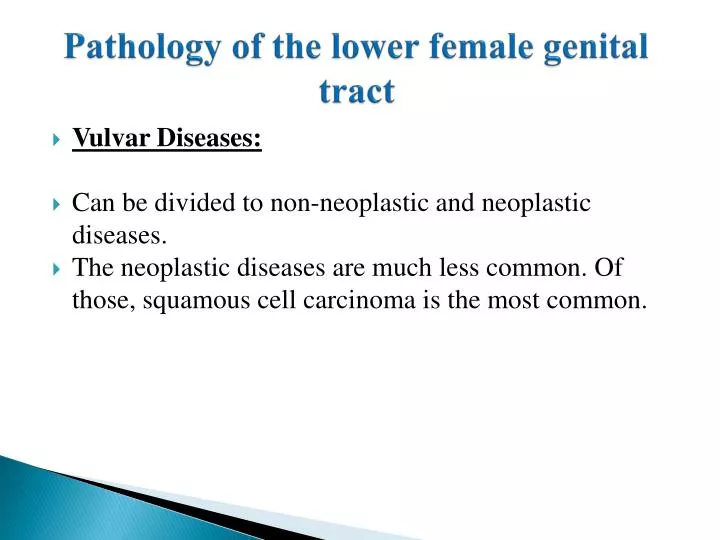 Ppt Pathology Of The Lower Female Genital Tract Powerpoint