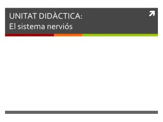 unitat did ctica el sistema nervi s