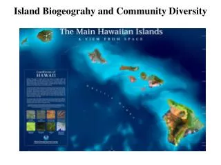 Island Biogeograhy and Community Diversity