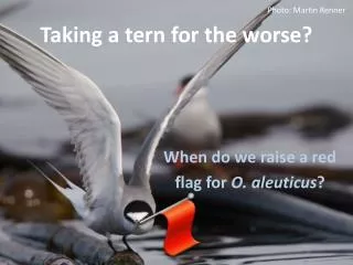 Taking a tern for the worse?