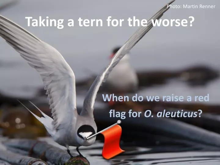 taking a tern for the worse