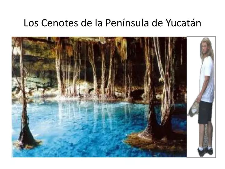 los cenotes de la pen nsula de yucat n