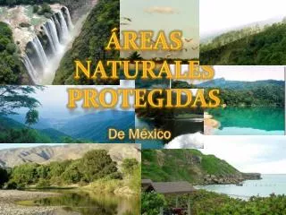 Áreas Naturales Protegidas