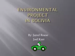 Environmental Project in Bolivia