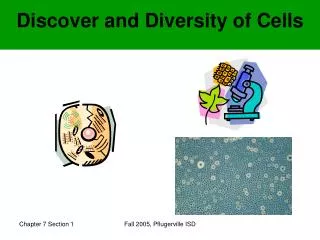 Discover and Diversity of Cells